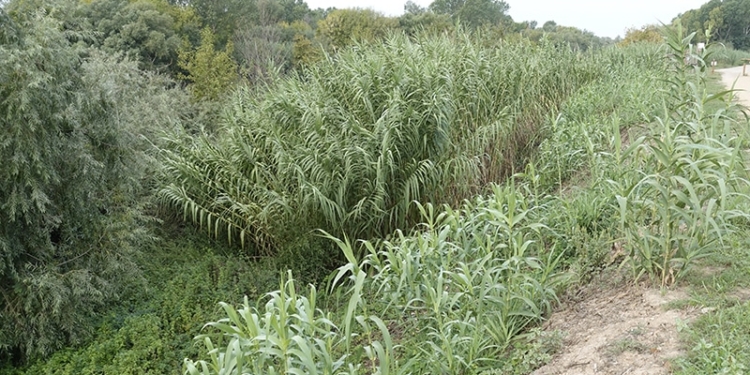 A l’aguait del nostre patrimoni