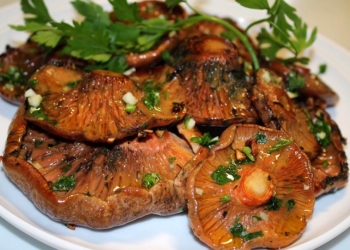 La cuina d’en Joan Mitjà