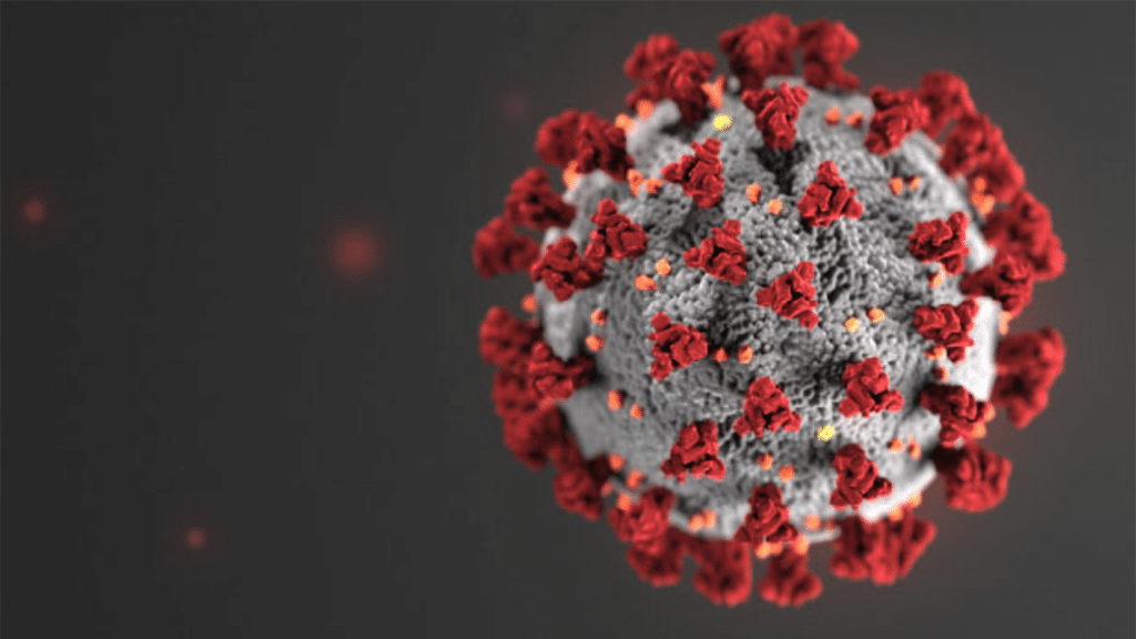 Responsabilitat, coratge, solidaritat