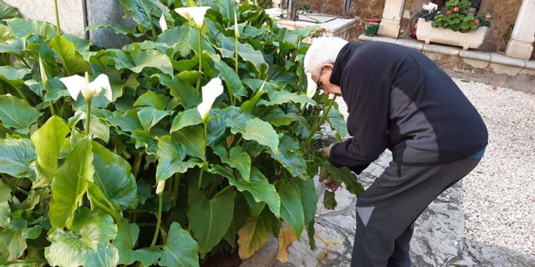 La COVID-19 a les residències