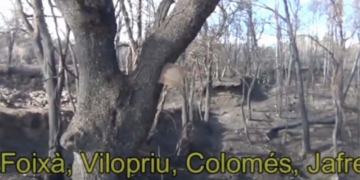 L’Emporda torna a cremar