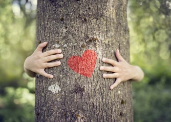 Els nostres amics els arbres