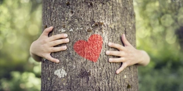 Els nostres amics els arbres