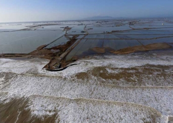 En l’aniversari de Gloria
