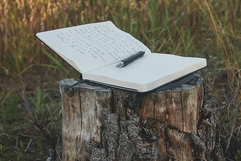 En la mort d’un poeta