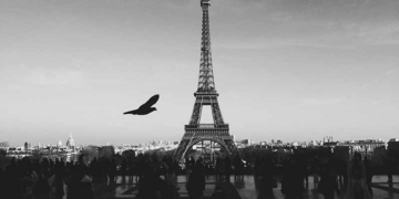 Quan estudiàvem francès