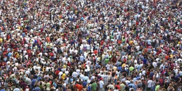 Som una plaga  els humans?