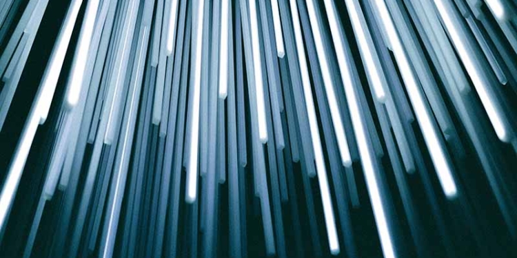 Imaginem junts el nostre futur (5)