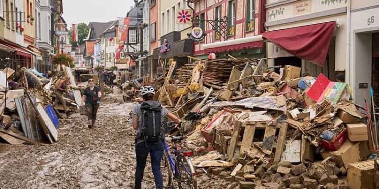Compromesos amb la natura