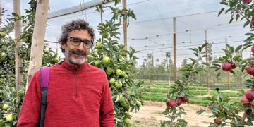 Albert Batlle Viader