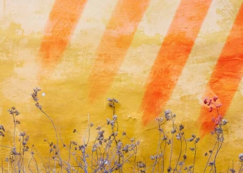 Una proposta de cànon poètic català del segle XXI