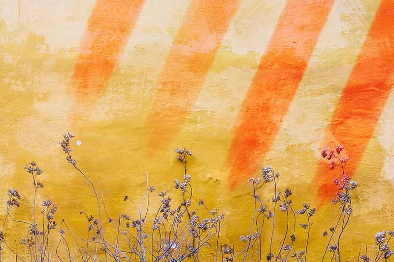 Una proposta de cànon poètic català del segle XXI