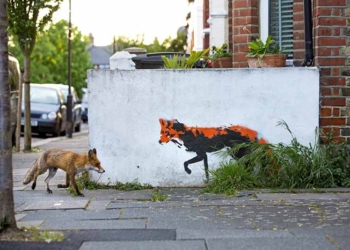 Qui són els invasors?