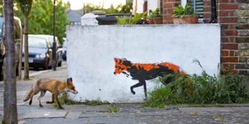 Qui són els invasors?