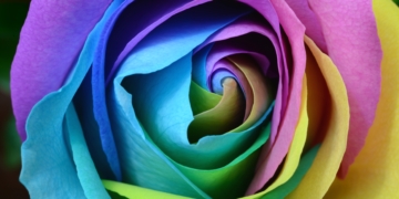 Llum, color i visió (Primera part)