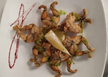 La cuina d’en Joan Mitjà