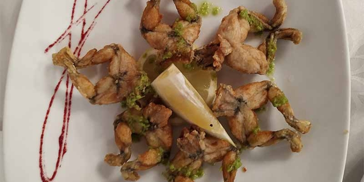 La cuina d’en Joan Mitjà