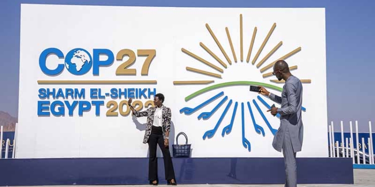 Màniga curta, d’Amsterdam a Girona