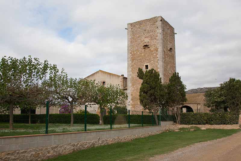 Caterina Bagura, la dona que va construir una torre