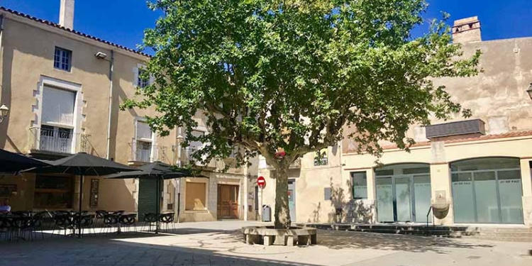 Homenatge als nostres arbres