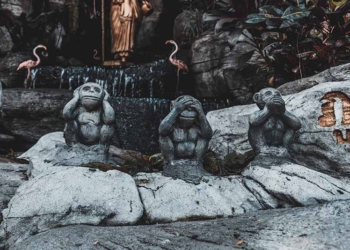 La conxorxa dels ignorants