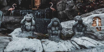 La conxorxa dels ignorants