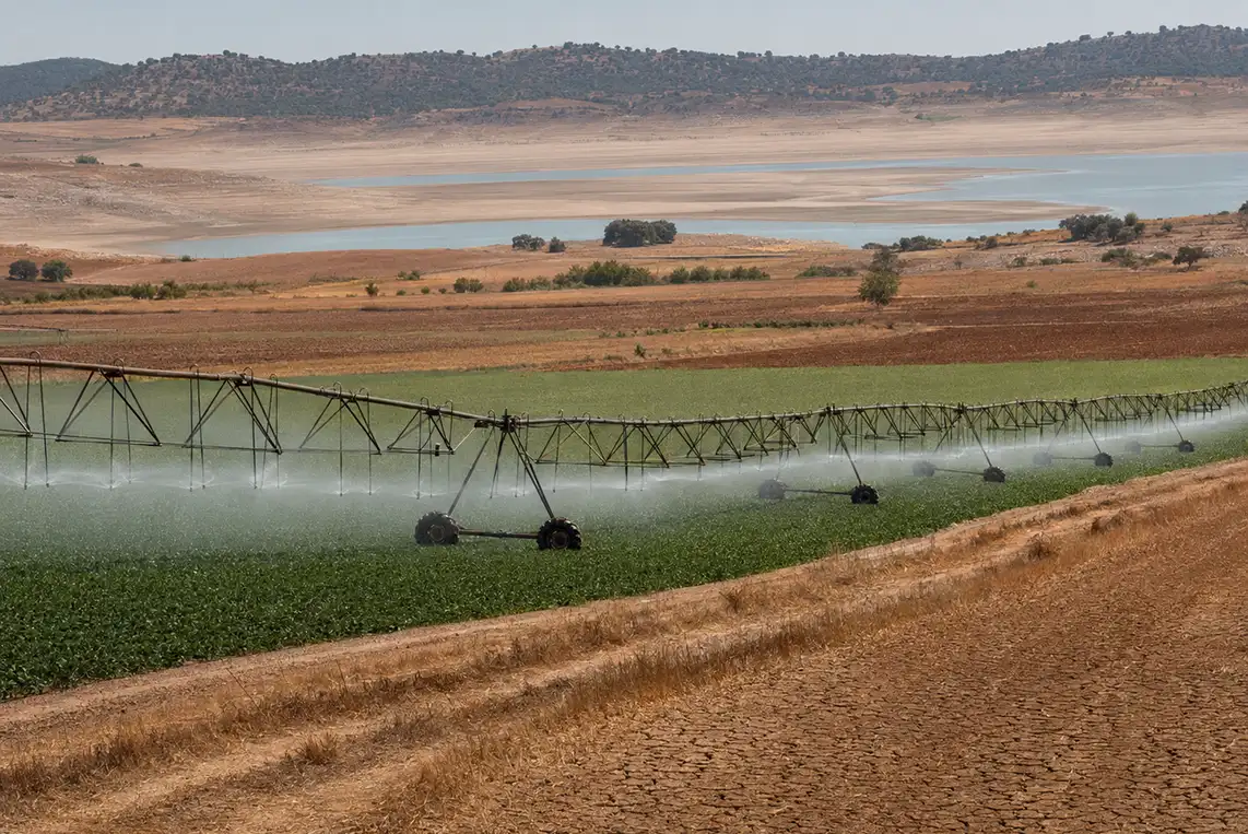 Regadiu i canvi climàtic: una relació insostenible