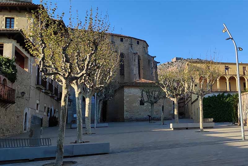 Entrevista al poeta Marcel Riera al 10è Berenar Literari de la llibreria El Cucut