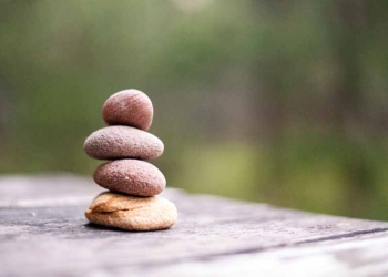 La nova Economia del Benestar (I)