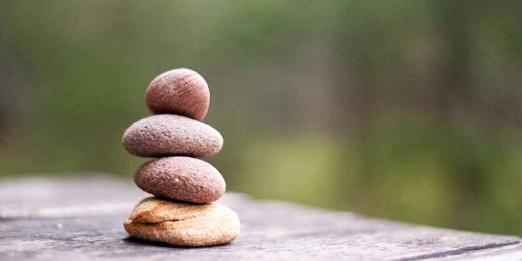 La nova Economia del Benestar (I)