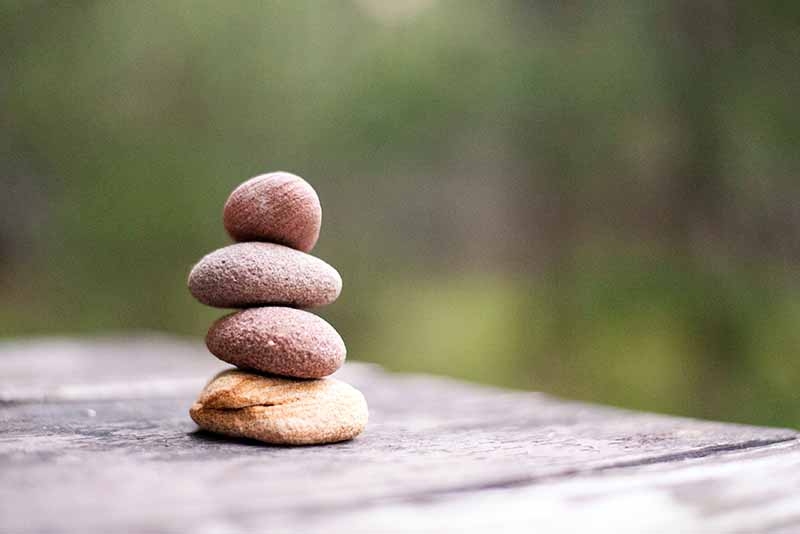 La nova Economia del Benestar (I)