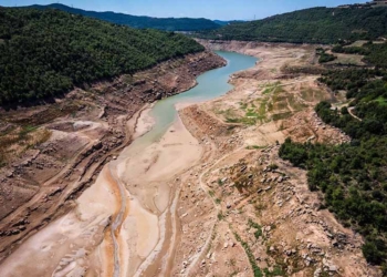 Falta aigua o planificació?