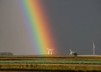 Economia del Benestar (III)