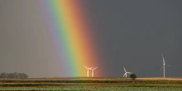 Economia del Benestar (III)