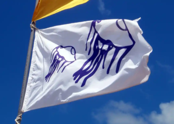 “Tiburón”, o com no gestionar una crisi