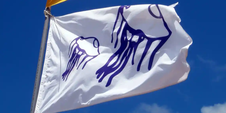 “Tiburón”, o com no gestionar una crisi