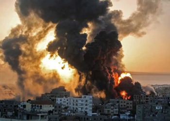 El món necessita seny