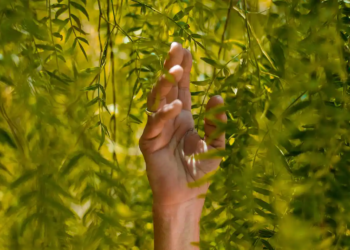 La Sostenibilitat (I) –  La sostenibilitat com a valor