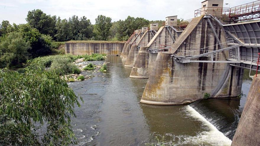 Regants del Ter, aigua i maneres de procedir