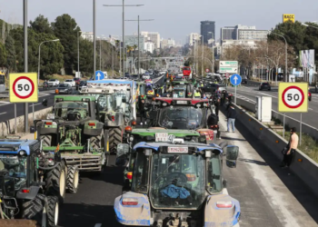 La revolta de la petita pagesia