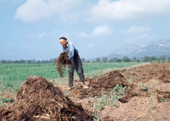 Relació de Masos 1947 – l’Estartit