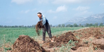 Relació de Masos 1947 – l’Estartit