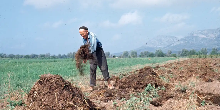 Relació de Masos 1947 – l’Estartit