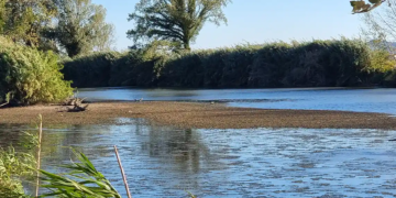 El nostre riu, el Ter