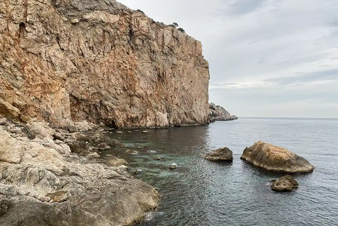 Les herbetes
