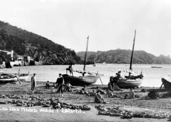 Crònica negra a Torroella. Accidents i desgràcies. (I)