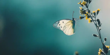 Reflexions Horacianes (II)