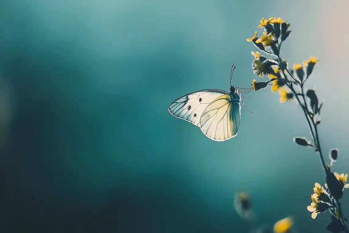Reflexions Horacianes (II)