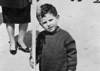 Palmes, brunyols i misses