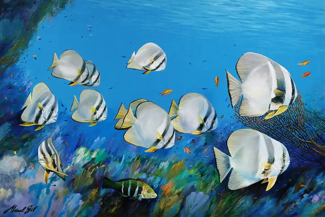 Manel Gil, pintor marí i submarí 